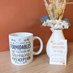 mug-parrain-exception-amis-formidables.jpg