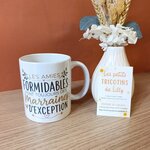 mug-marraine-personnalisable-4-modeles-cadeau.jpg (2)