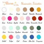 nuancier-les-petits-tricotins-de-lilly-creations-personnalisees (2)