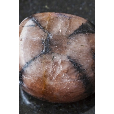 Image de la Chiastolite