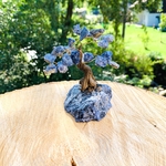 sodalite-pierre-naturelle-arbre-de-vie-pierres-du-monde-vosges-134