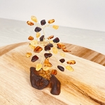 ARBRE-DE-VIE-AMBRE-MULTICOLORE-PIERRES-DU-MONDE