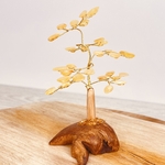 ARBRE-DE-VIE-CITRON-2-PIERRES-DU-MONDE-VOSGES