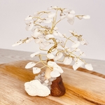 ARBRE-CRISTAL-DE-ROCHE-BLANC-1-PIERRES-DU-MONDE-VOSGES