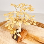 ARBRE-AMBRE-CITRON-1-PIERRES-DU-MONDE-VOSGES