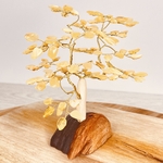 ARBRE-AMBRE-CITRON-PIERRES-DU-MONDE-VOSGES