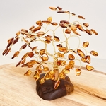 ARBRE-AMBRE-COGNAC-PIERRES-DU-MONDE-VOSGES