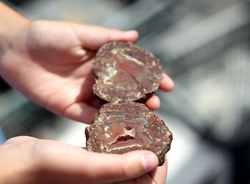 AGATE dans main
