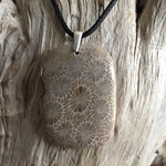 Pendentif Corail Fossil, bélière argent 925, cordon coton ciré offert