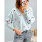 le pull birdy gris -1