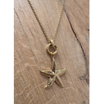 le collier stelly -3
