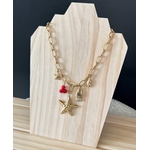 le collier etoile -1