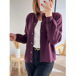 gilet prune col victorien Manolo