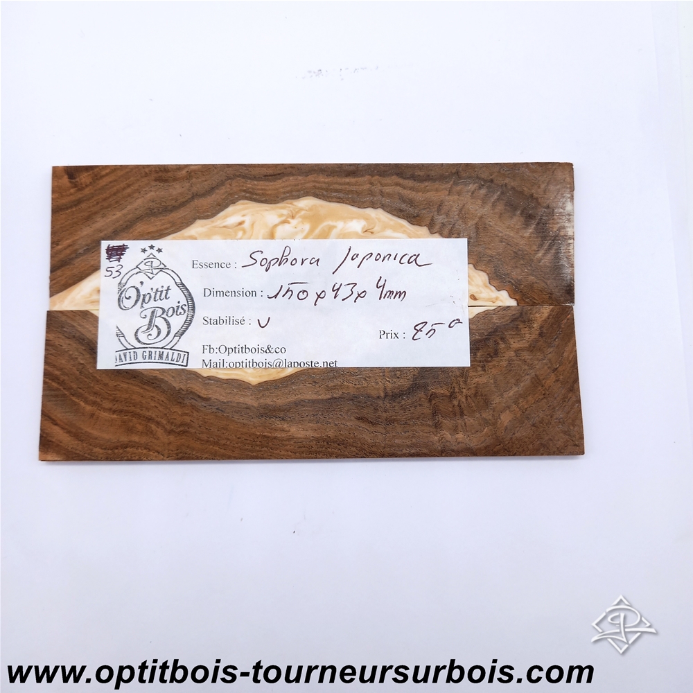 Hybride53verso_GF