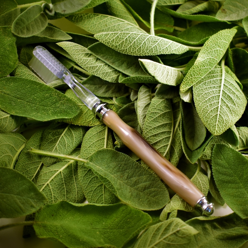 BADvache-01