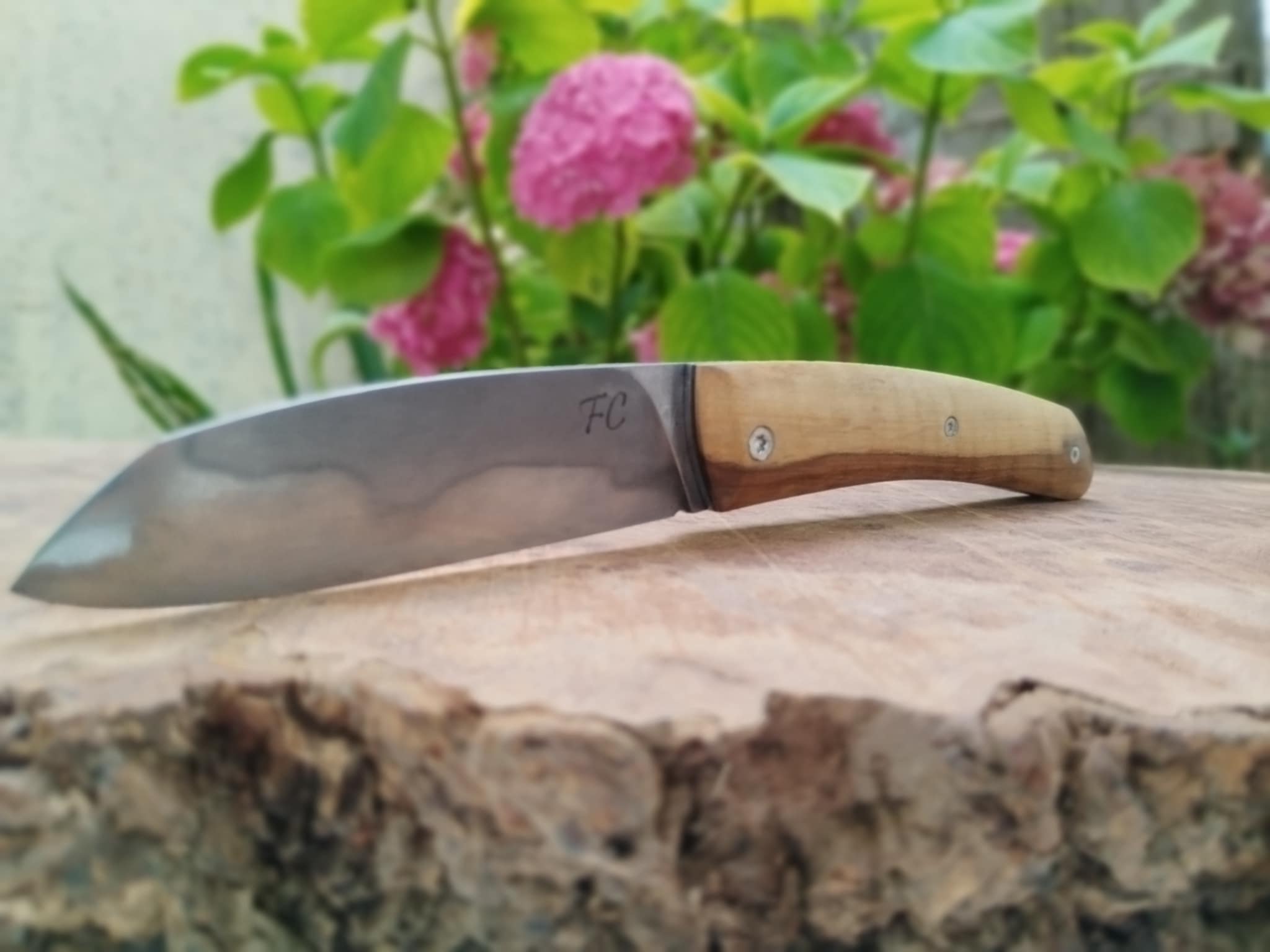 zpqp4a3f