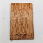 Chataignier ebay (2)