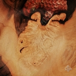 IMG_20201218_105233_GF