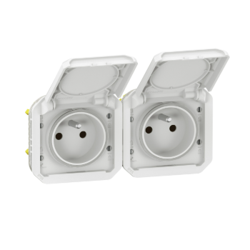 Prise Double Legrand Neptune 2P+T Précâblée - Modèle 80681, Neuf (peut Avoir De Petits Défauts)