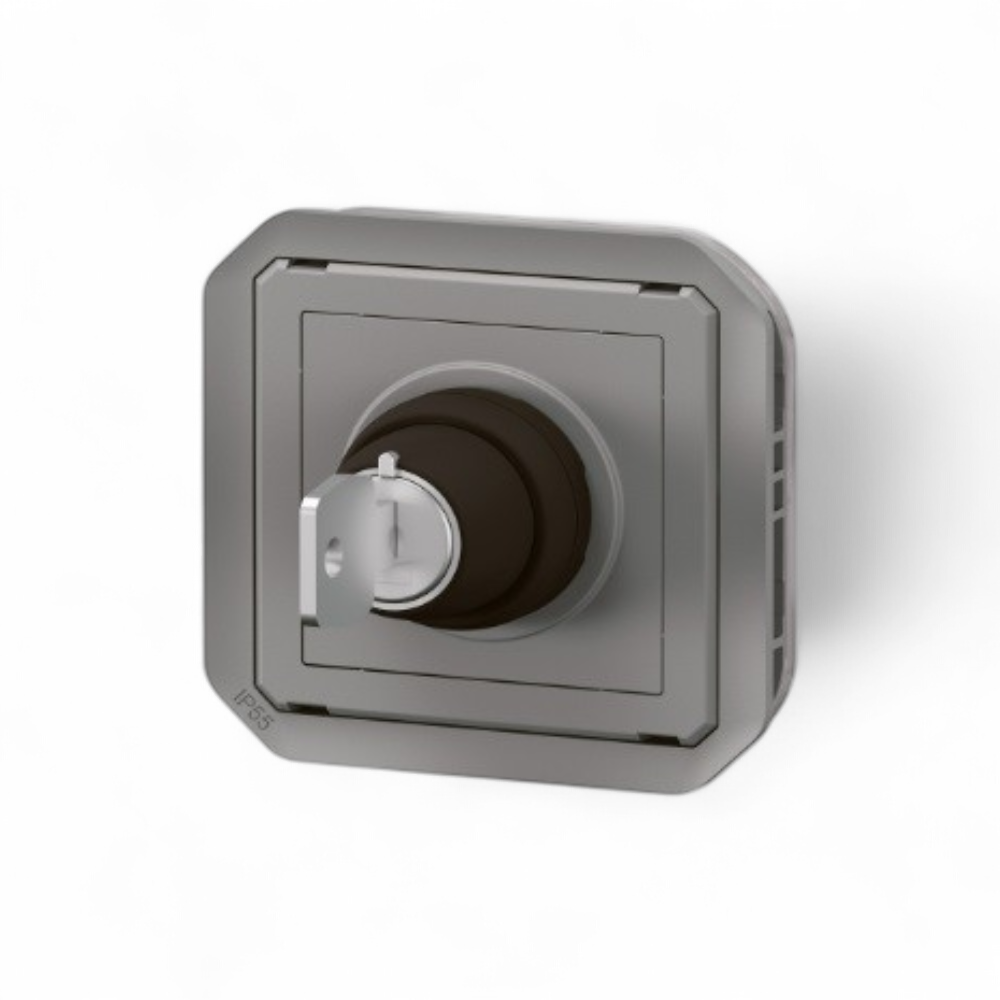 legrand-interrupteur-a-cle-ronis-n455-plexo-2-positions-avec-marquage-o-i-069534l