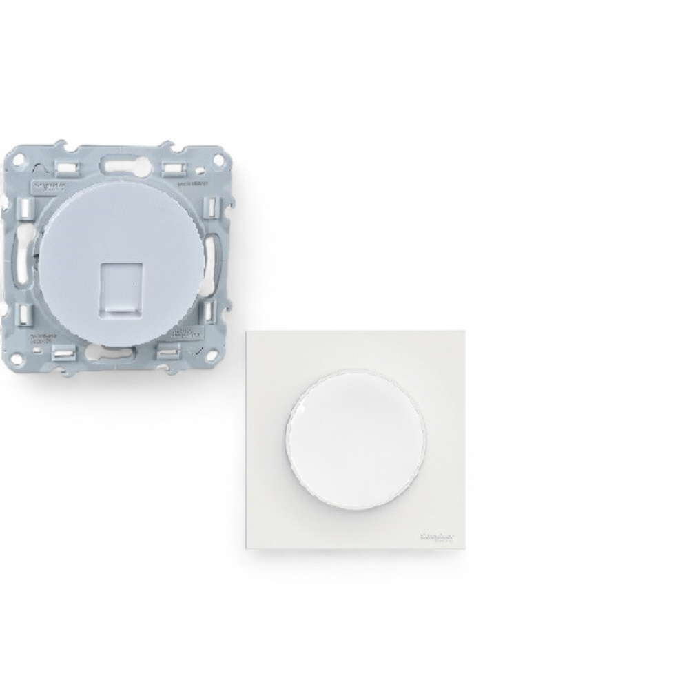 complet-schneider-electric-prise-rj45-plaque