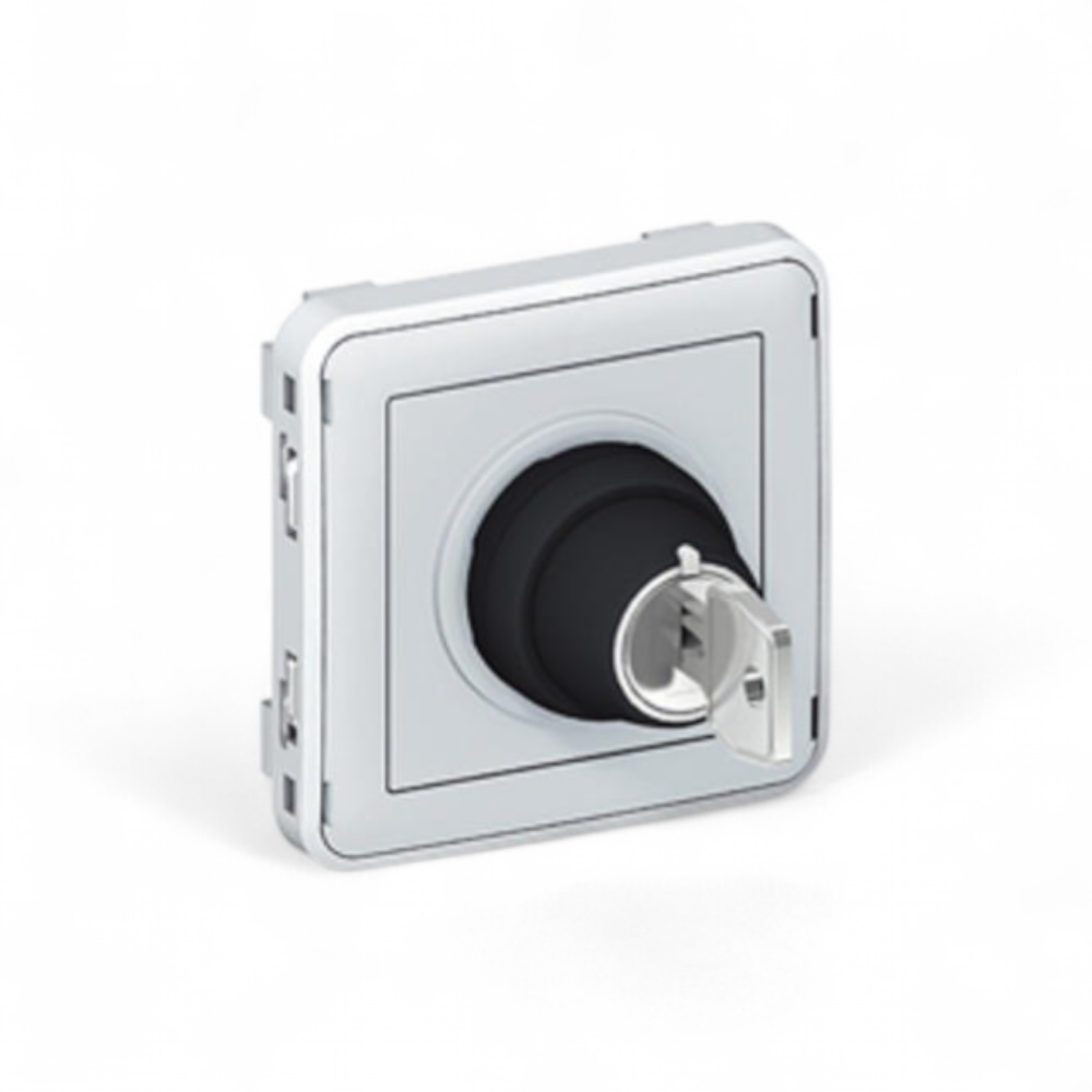 legrand-interrupteur-a-cle-ronis-n-455-2-positions-plexo-composable-ip55-3a-250v-gris-ref-069534
