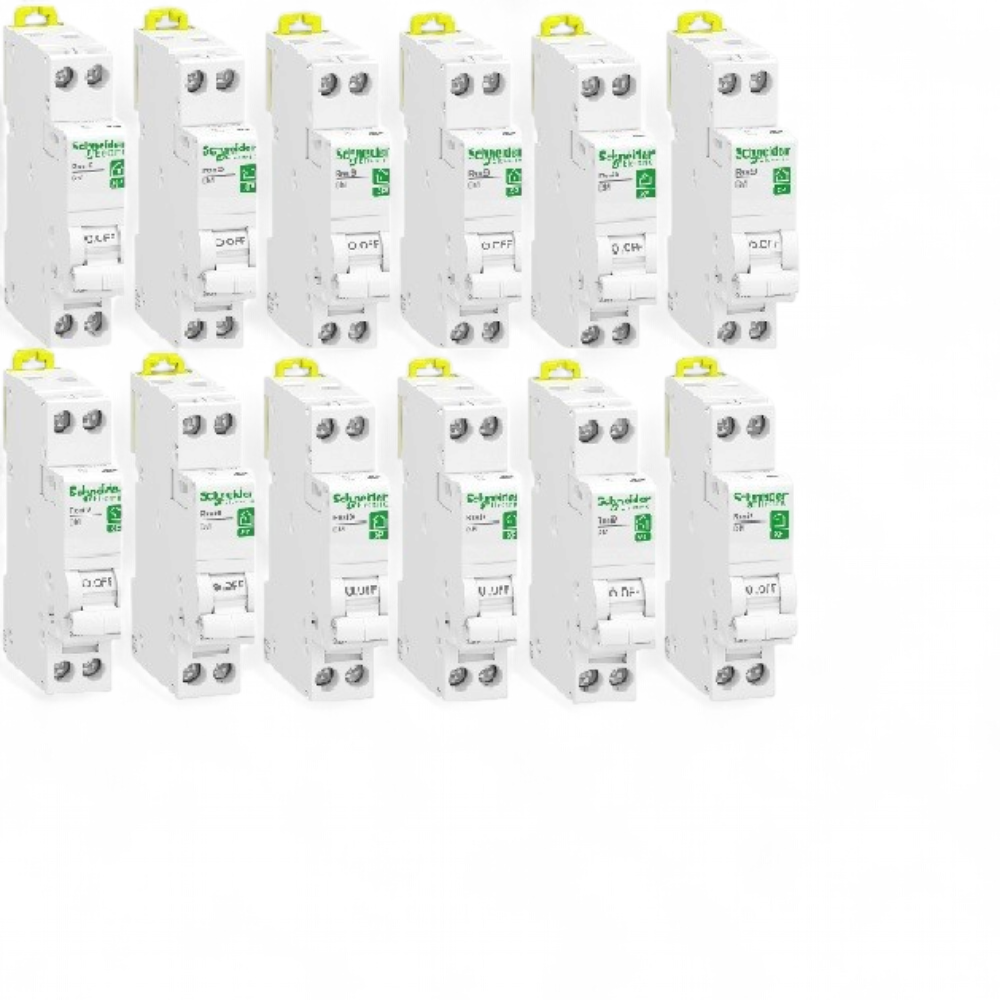 lot-de-12-disjoncteurs-modulaires-schneider-resi9-xp-10a-r9pfc610