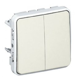 Double poussoir lumineux LEGRAND 069636 NO+NF 10 A