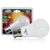Miidex Vision EL Lampe LED B22 12W - 739381b