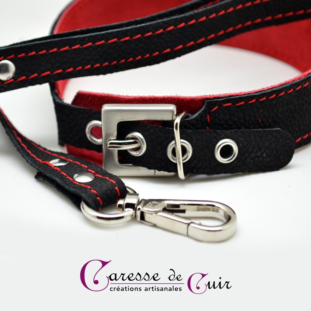 1pc Bondage Bdsm Laisse Collier Plomb Noir Rouge Cuir - Temu Canada