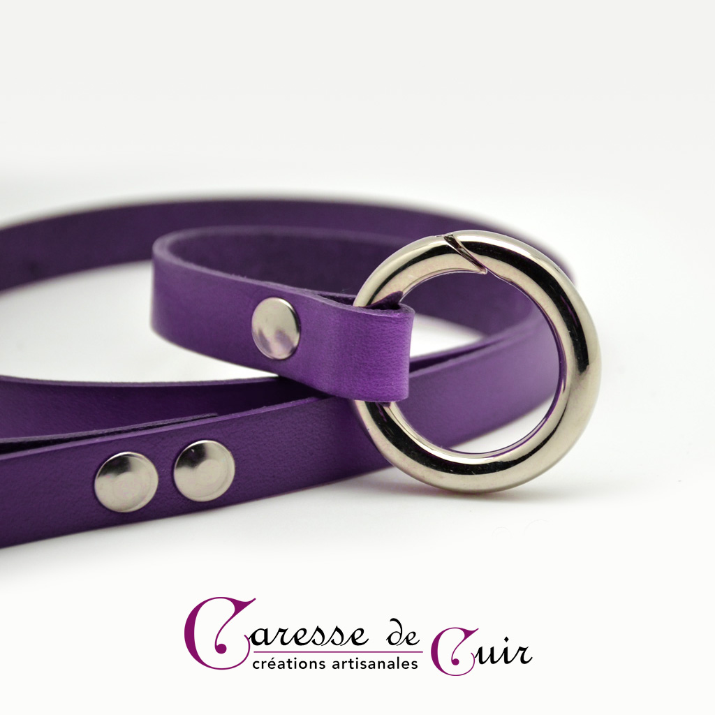 laisse-cuir-violet-anneau-mousqueton