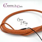 Fouet-Charon-marron-pommeau argenté-caresse-de-cuir-1