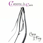 Mini-fouet-charon-noir-argent-caressedecuir-1