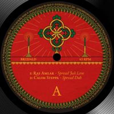 vinyl291