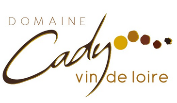 logo cady new