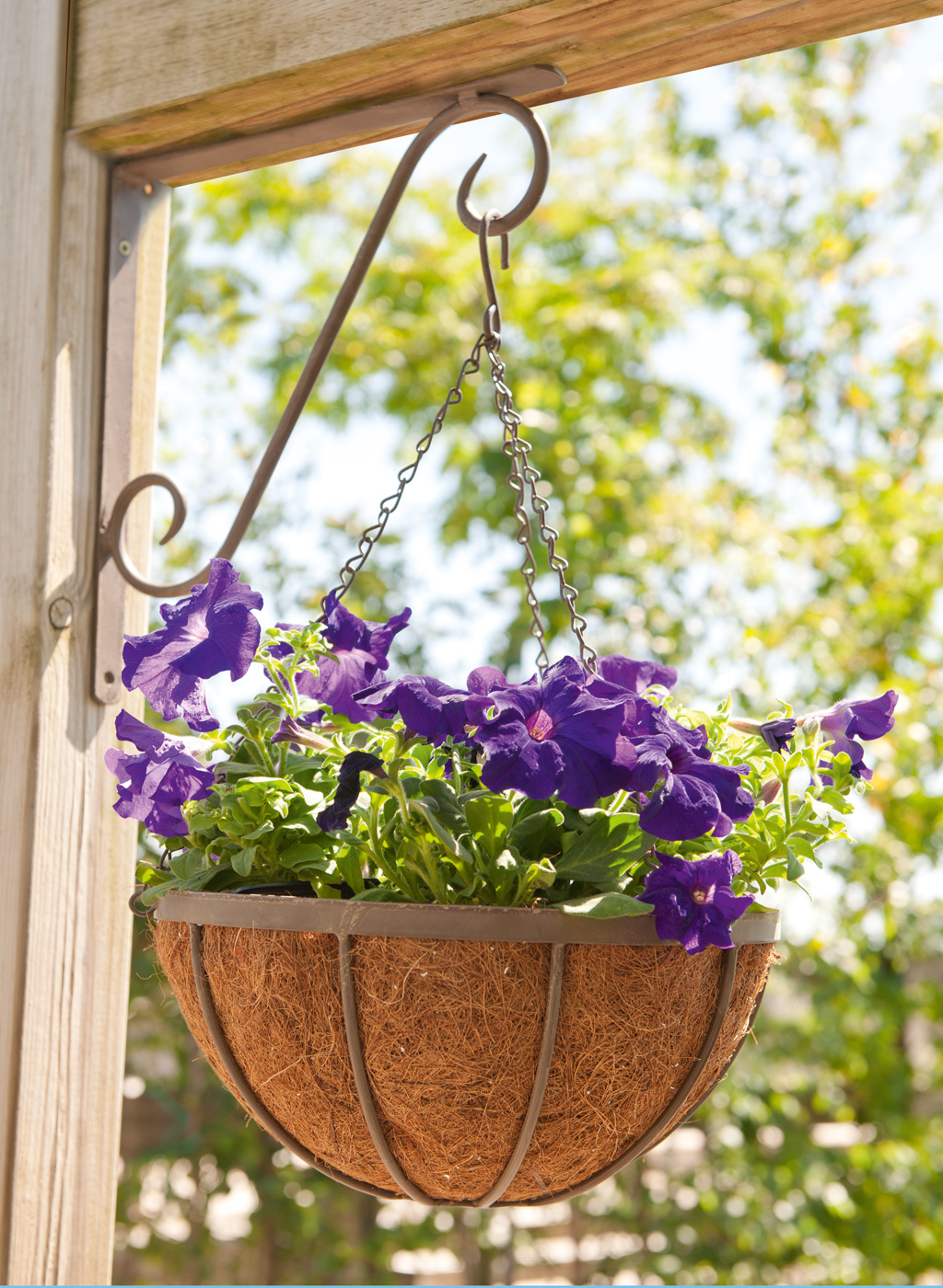 flower basket