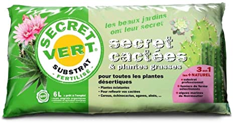 Terreau cactus et succulentes