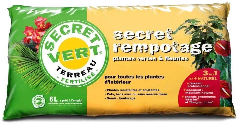 secret rempotage plantes vertes