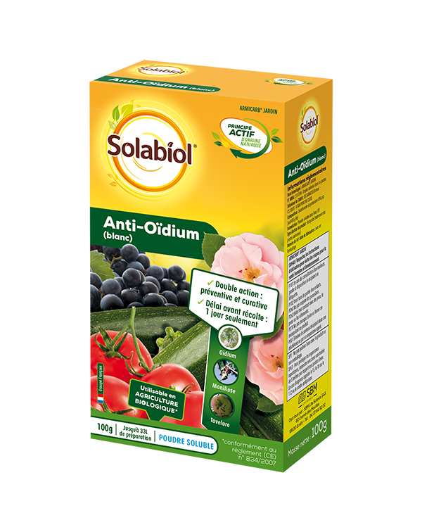 SOARMI100 oidium  solabiol - La jardinerie de pessicart nice - Livraison a domicile nice 06 plantes vertes terres terreaux jardinage