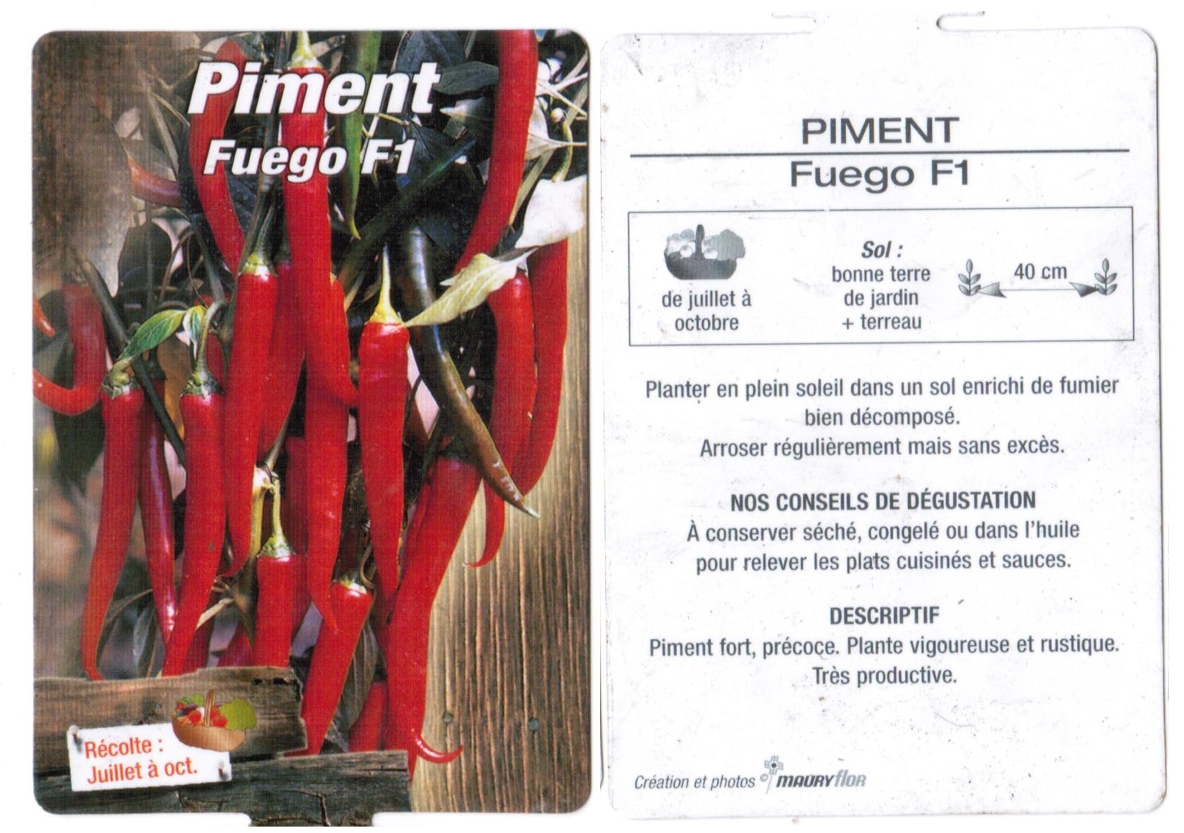 Piment plantons plants potager - La jardinerie de pessicart nice - Livraison a domicile nice 06 plantes vertes terres terreaux jardinage arbres cactus
