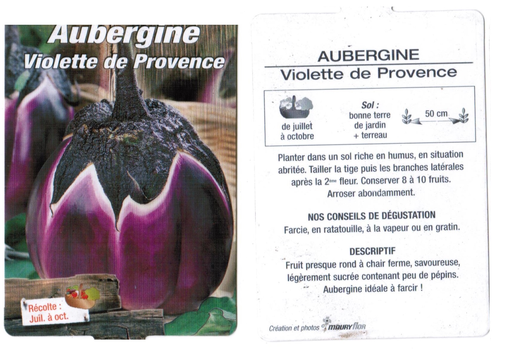 Aubergine violette de Provence plantons plants potager - La jardinerie de pessicart nice - Livraison a domicile nice 06 plantes vertes terres terreaux jardinage arbres cactus