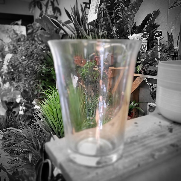 Cache-pot en verre ochidée Ø 12 cm -la jardinerie de pessicart 06100 nice