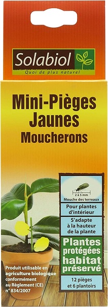 Mini-pièges jaune Moucherons du terreau - Soins des plantes/Répulsifs  insectes et maladies des plantes - La Jardinerie de Pessicart