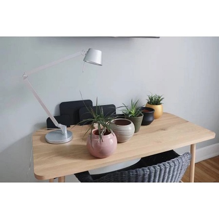 Petit pot rond 2-la jardinerie de pessicart nice 06