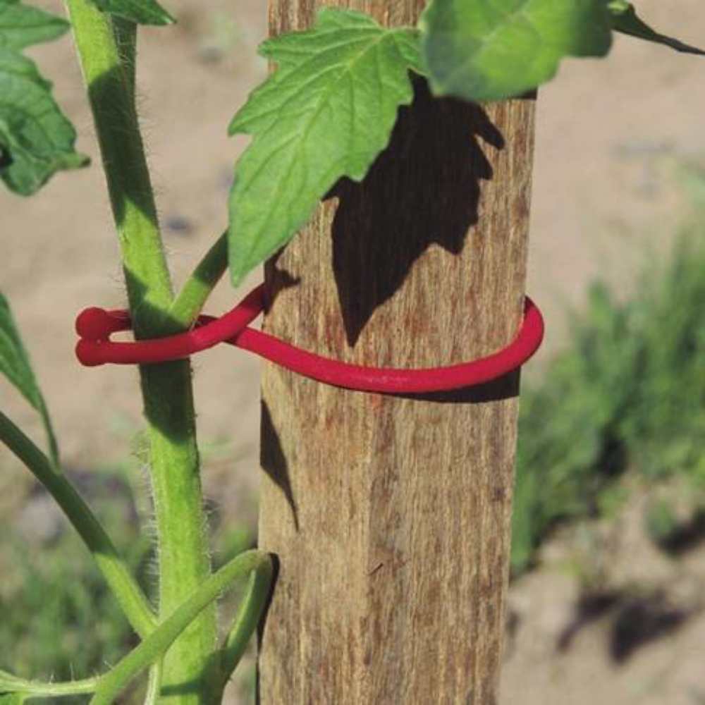 Tomatoclip