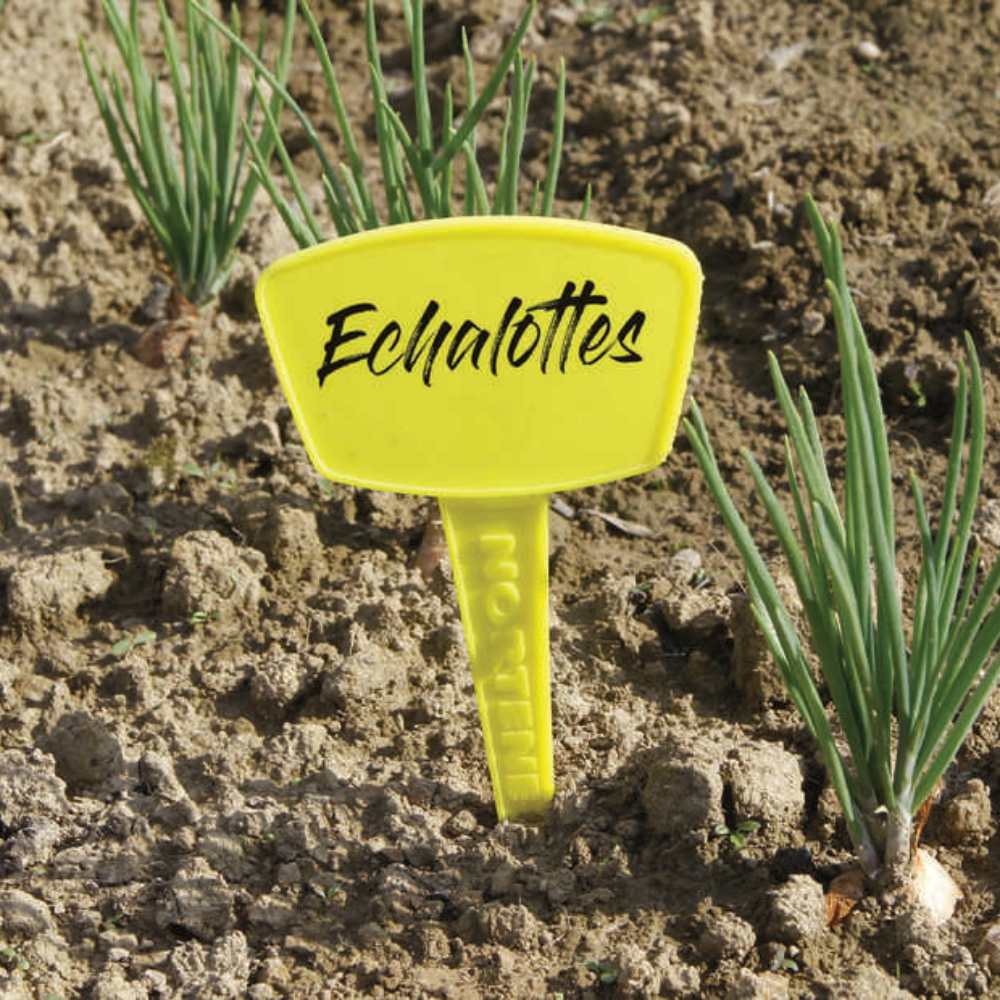 Etiquette à planter label 35 la jardinerie de pessicart nice 06 (2)