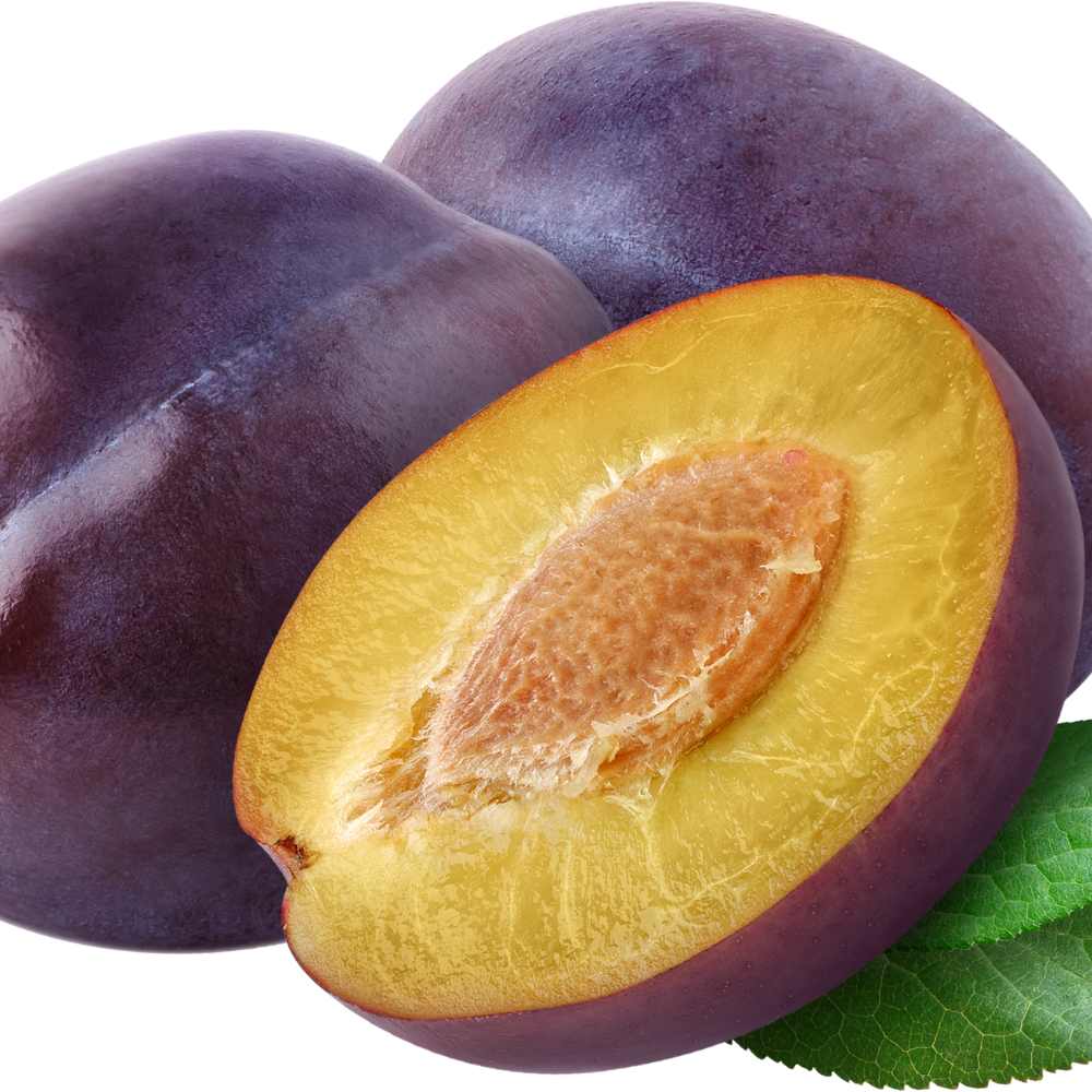 Prunier Queen Victoria fruit la jardinerie de pessicart nice 06