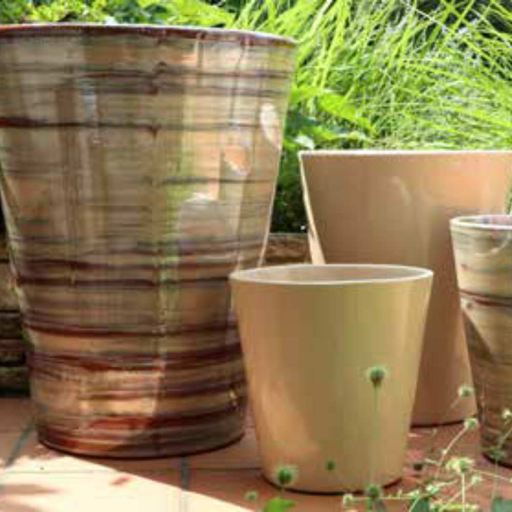 Collection crème noisette _ la jardinerie de Pessicart Nice 06100