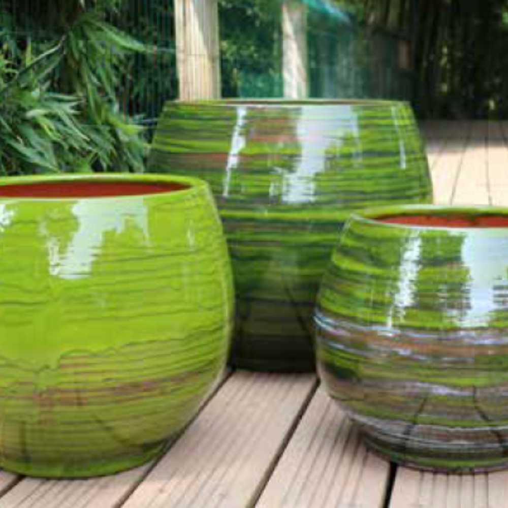 Collection Forêt -- la jardinerie de Pessicart Nice 06100