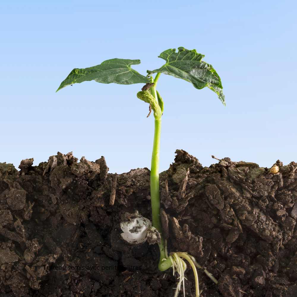 Terreau semis et potager